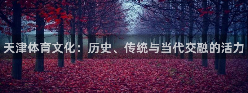 球速体育：天津体育文化：历史、传统与当代交融的活力