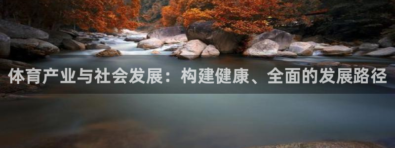 球速体育：体育产业与社会发展：构建健康、全面的发展路径