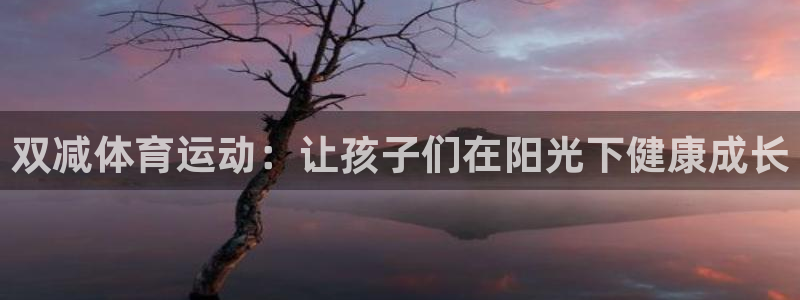 球速体育：双减体育运动：让孩子们在阳光下健康成长