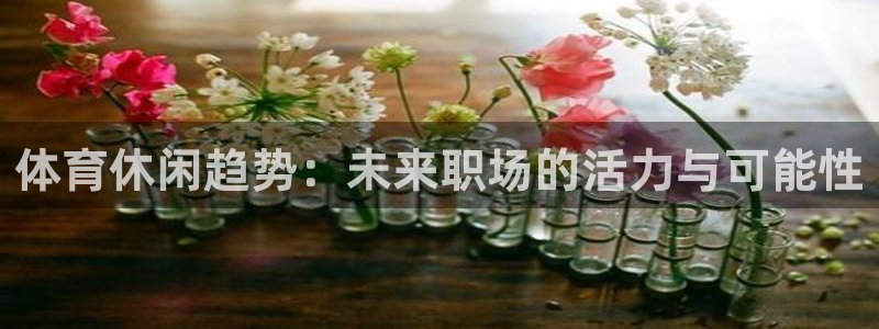球速体育