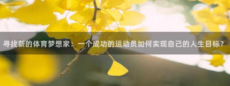 球速体育