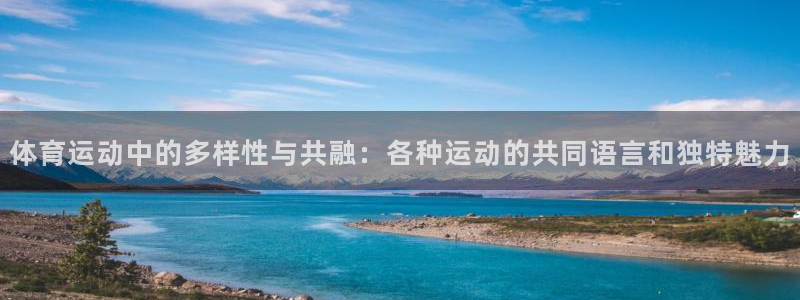 球速体育