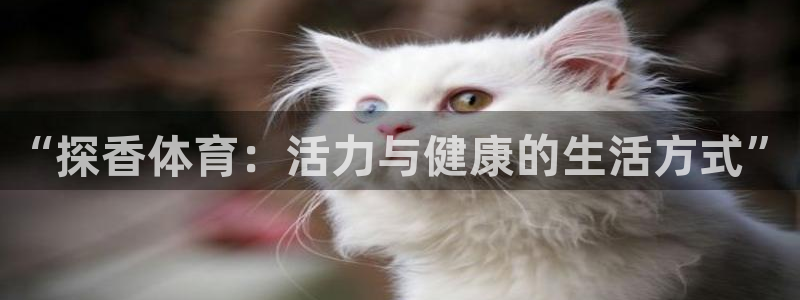 球速体育：“探香体育：活力与健康的生活方式”