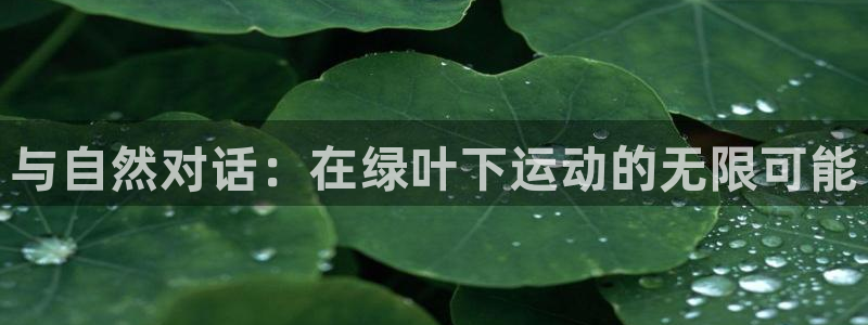 球速体育：与自然对话：在绿叶下运动的无限可能
