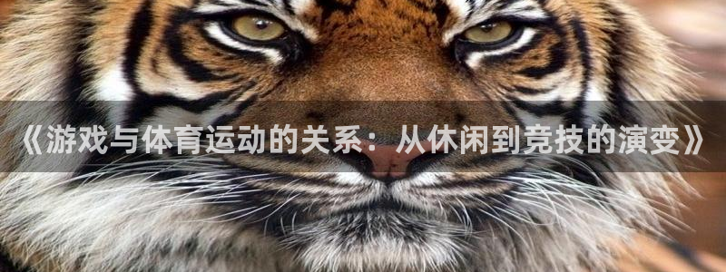 球速体育：《游戏与体育运动的关系：从休闲到竞技的演变》