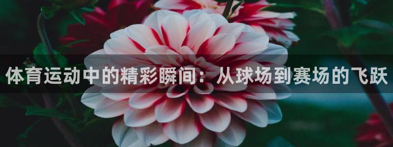 球速体育：体育运动中的精彩瞬间：从球场到赛场的飞跃