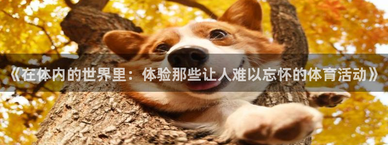 球速体育