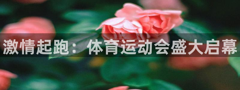 球速体育