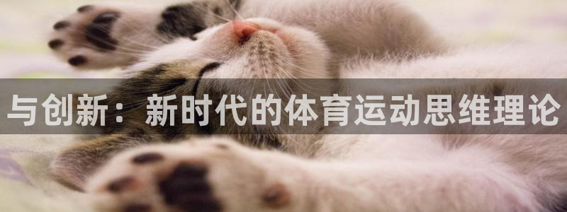 球速体育