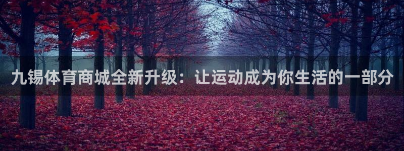 球速体育：九锡体育商城全新升级：让运动成为你生活的一部分
